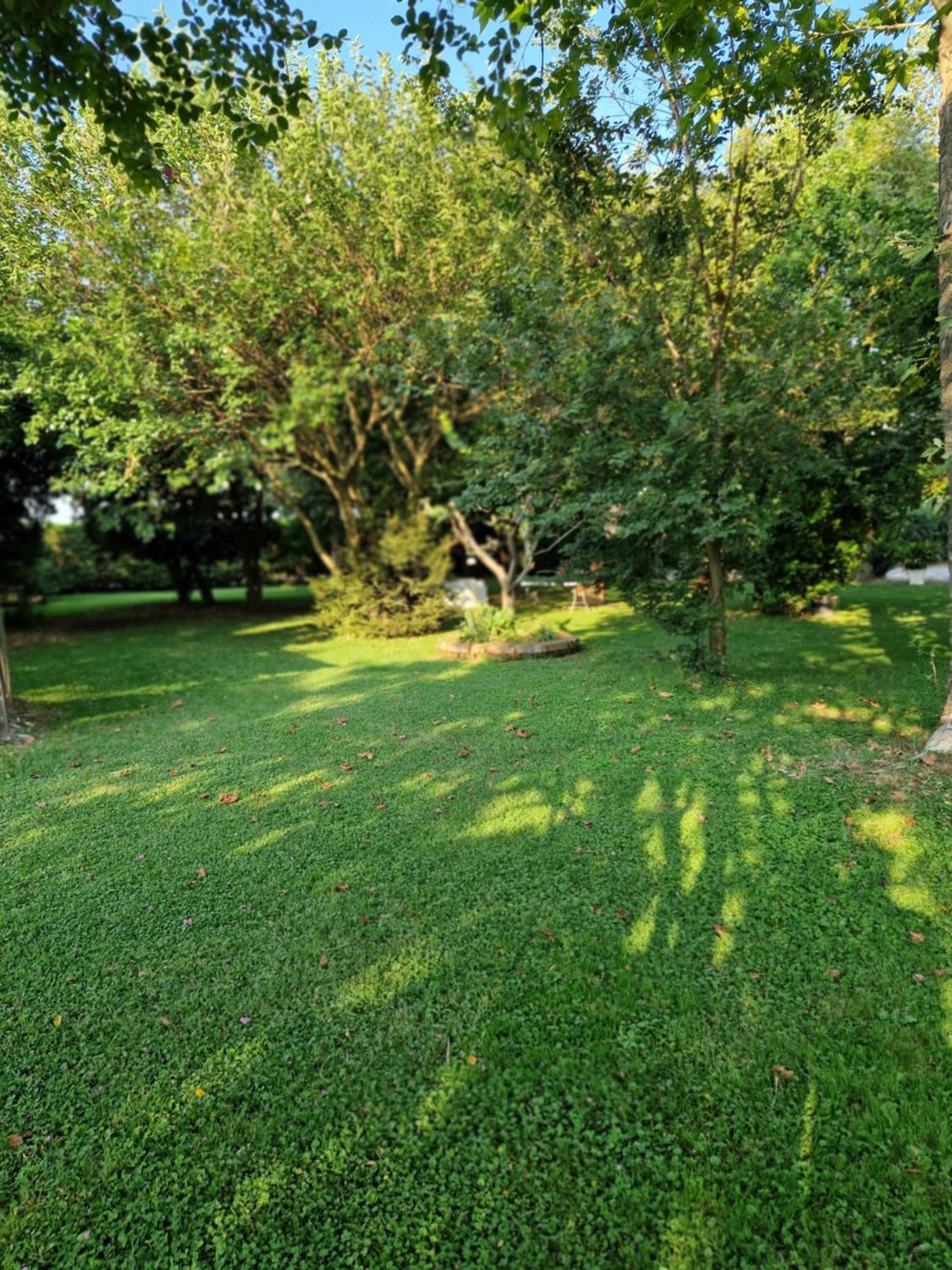 Agriturismo Corte Gaia Кастельони деле Стивиере Екстериор снимка